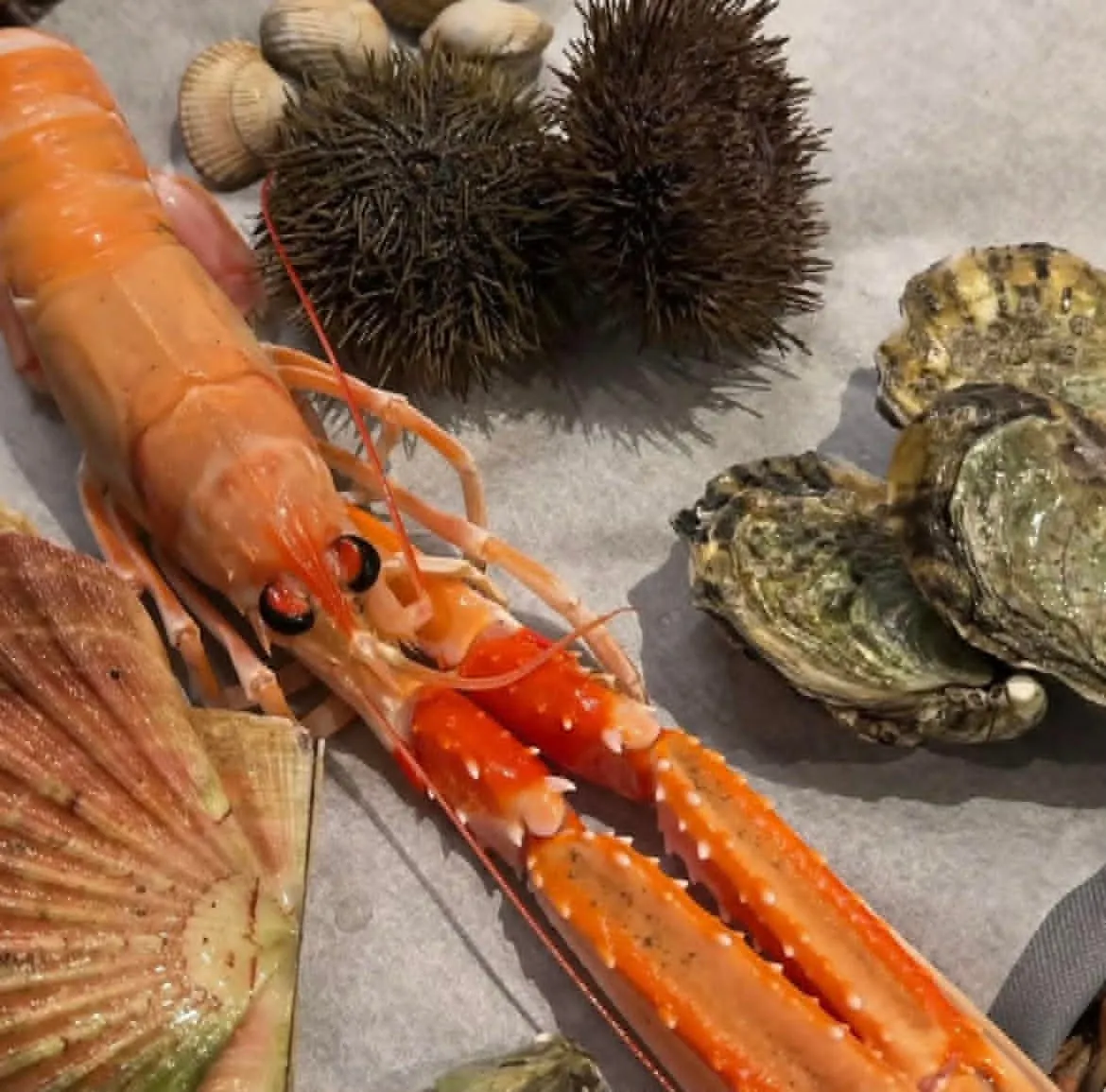A selection of freshly landed Norwegian langoustine, scallop, oyster and sea urchin